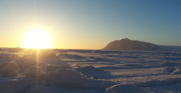 Six Successful Candidates